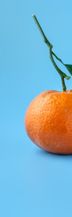 Piece of Orange on the Blue Background — Wholesale Food in Coffs Harbour, NSW
